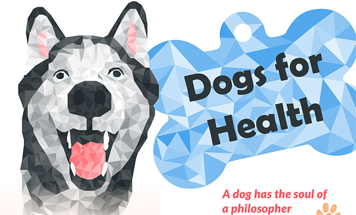 Introduction photo for Dogs for Health infograph