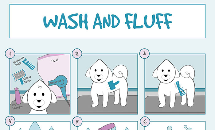 Introduction photo for Wash and Fluff infograph